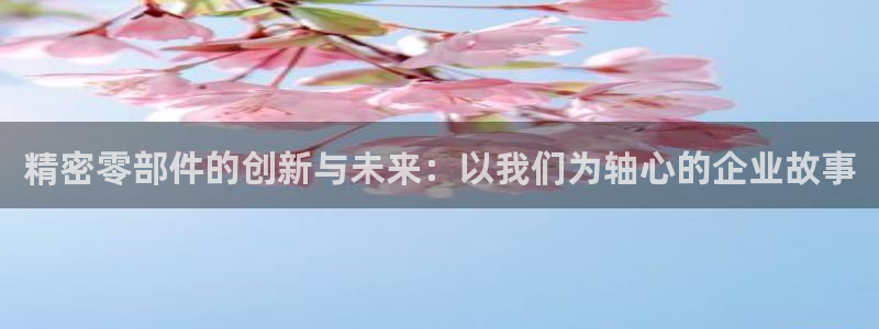 天天彩神welcome：精密零部件的创新与未来：以我们为轴心的企业故事