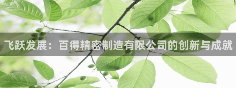彩神合法吗.是国家认可的吗：飞跃发展：百得精密制造有限公司的创新与成就