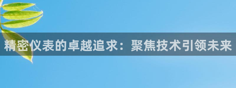 彩神vip官方网站：精密仪表的卓越追求：聚焦技术引领未来
