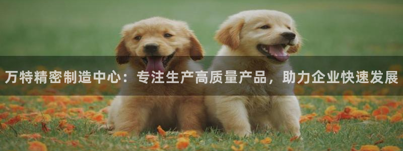 彩神vll购彩大厅大众：万特精密制造中心：专注生产高质量产品，助力企业快速发展