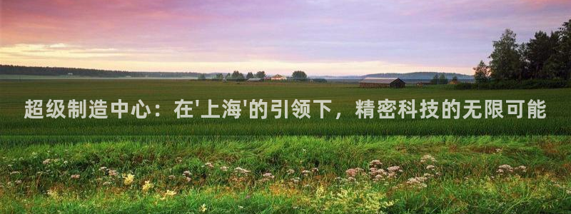 彩神app赚钱是真是假：超级制造中心：在\'上海\'的引领下，精密科技的无限可能