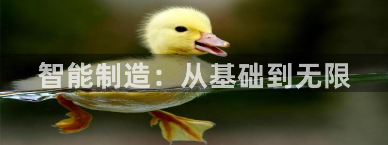 彩神v8购彩大厅登：智能制造：从基础到无限