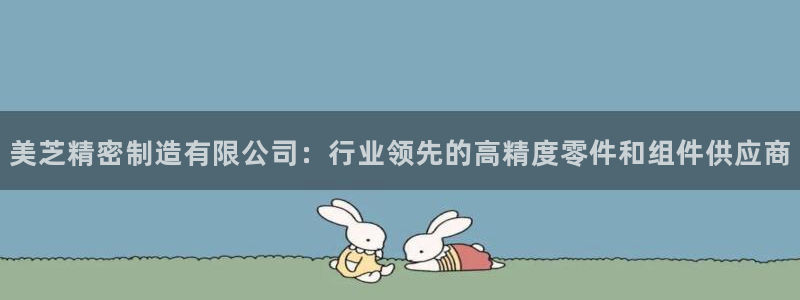 彩神通官方网：美芝精密制造有限公司：行业领先的高精度零件和组件供应商