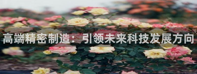 彩神是正规平台吗是真的吗：高端精密制造：引领未来科技发展方向