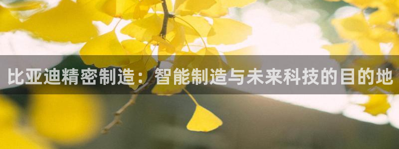 彩神的邀请码是多少：比亚迪精密制造：智能制造与未来科技的目的地