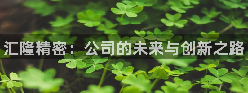 彩神Vii购彩-购彩大厅：汇隆精密：公司的未来与创新之路