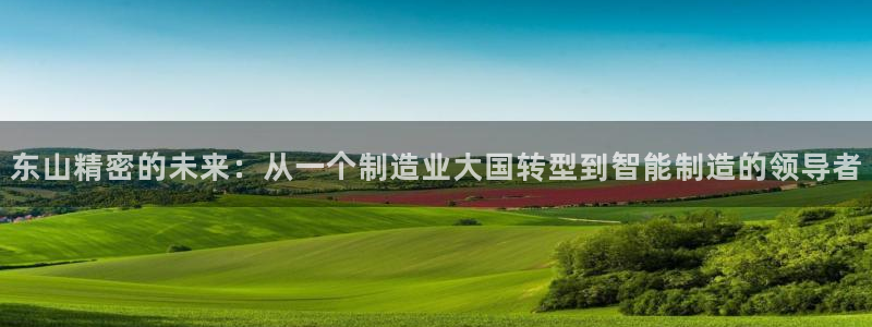 彩神8官网版：东山精密的未来：从一个制造业大国转型到智能制造的领导者
