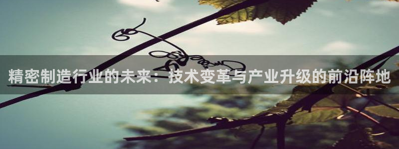 彩神V官网：精密制造行业的未来：技术变革与产业升级的前沿阵地