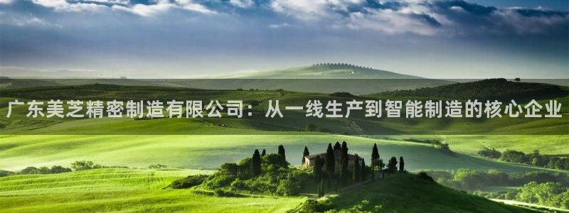 彩神赢的钱是哪里来的：广东美芝精密制造有限公司：从一线生产到智能制造的核心企业