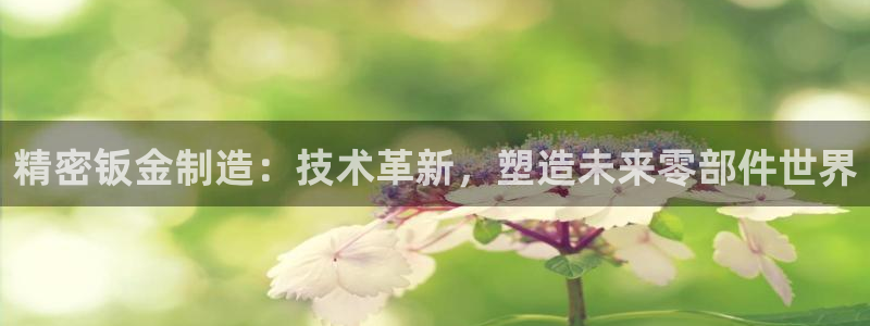 新版彩神v8登录教程：精密钣金制造：技术革新，塑造未来零部件世界