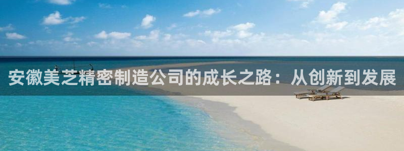 彩神8彩平台客服：安徽美芝精密制造公司的成长之路：从创新到发展
