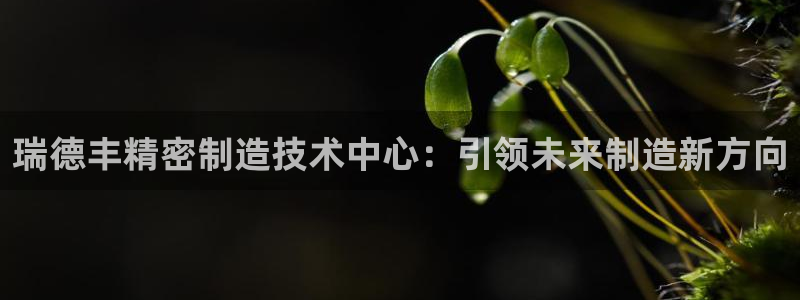 彩神是正规平台吗是真的吗：瑞德丰精密制造技术中心：引领未来制造新方向