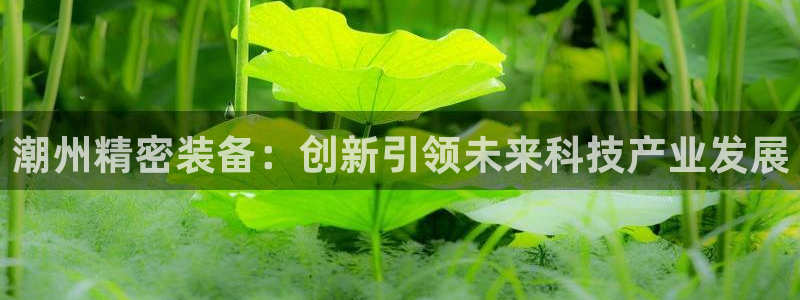 彩神vll首页企业文化：潮州精密装备：创新引领未来科技产业发展