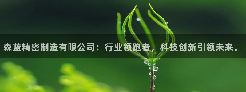 彩神v1破解器：森蓝精密制造有限公司：行业领跑者，科技创新引领未来。