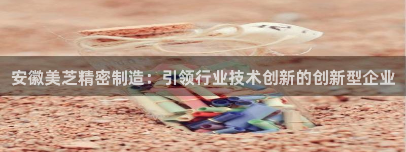 彩神ix是真的吗：安徽美芝精密制造：引领行业技术创新的创新型企业