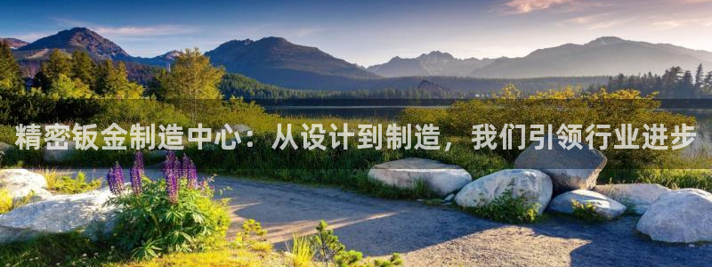 彩神v8手机客户端下载：精密钣金制造中心：从设计到制造，我们引领行业进步