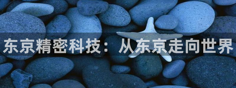 彩神是什么平台：东京精密科技：从东京走向世界