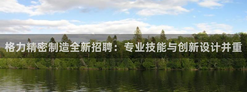 新版彩神v8登录不上去：格力精密制造全新招聘：专业技能与创新设计并重