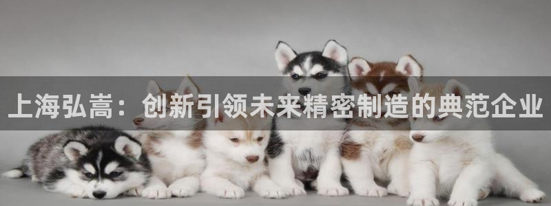 彩神赢钱了吗知乎：上海弘嵩：创新引领未来精密制造的典范企业