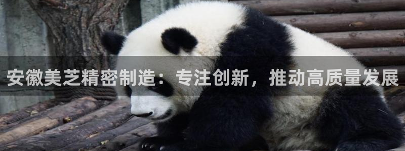 彩神vⅲ下载安装：安