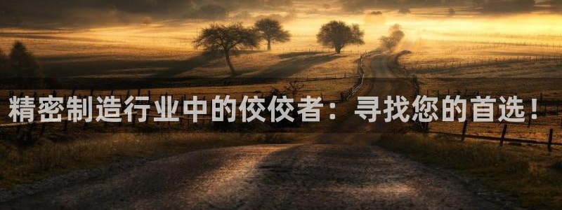 彩神客服电话：精密制造行业中的佼佼者：寻找您的首选！