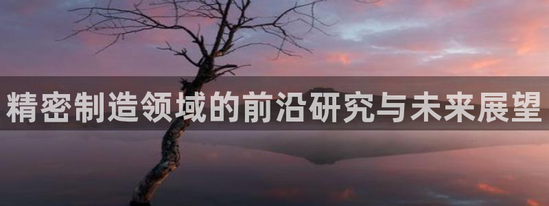 彩神v8平台正规吗安全吗：精密制造领域的前沿研究与未来展望