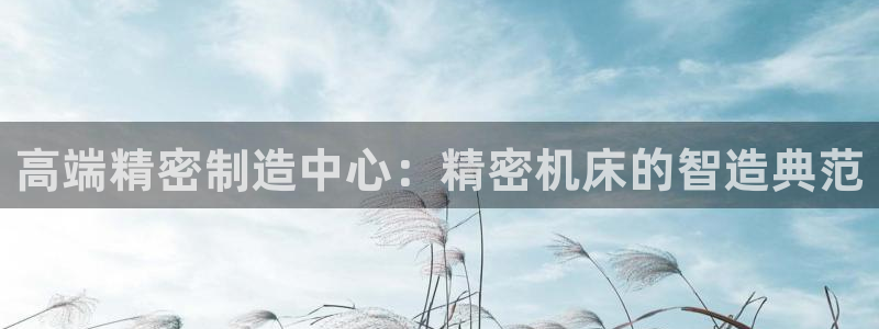 彩神vl官网：高端精密制造中心：精密机床的智造典范