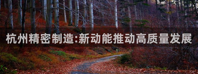 彩神vⅲ下载安装：杭州精密制造:新动能推动高质量发展