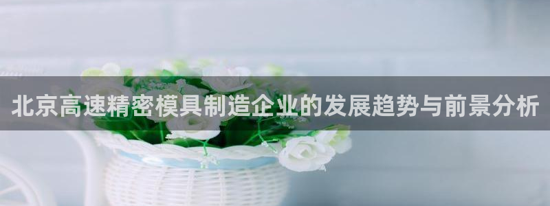 大发彩神最高邀请码：北京高速精密模具制造企业的发展趋势与前景分析