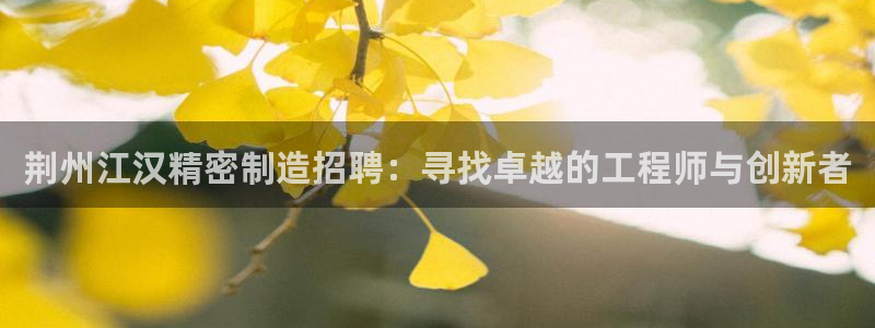 彩神ⅴll用户登录：荆州江汉精密制造招聘：寻找卓越的工程师与创新者