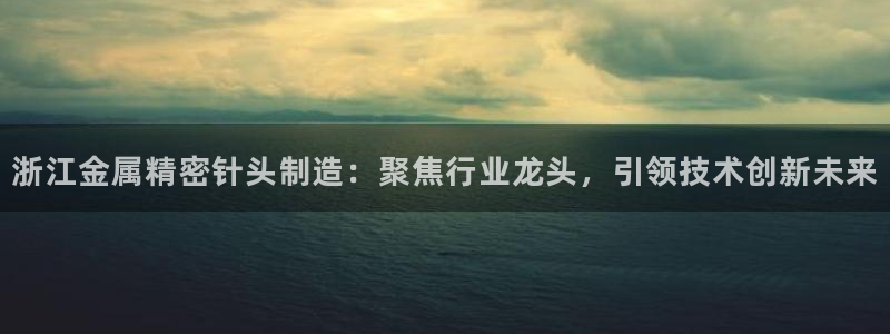 彩神ix官网是哪个公司的：浙江金属精密针头制造：聚焦行业龙头，引领技术创新未来