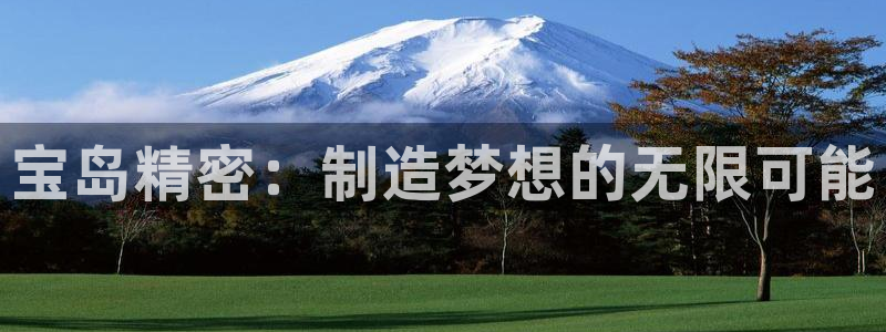 彩神平台可以破解吗：宝岛精密：制造梦想的无限可能