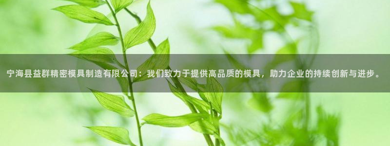 彩神争霸官方登录：宁海县益群精密模具制造有限公司：我们致力于提供高品质的模具，助力企业的持续创新与进步。