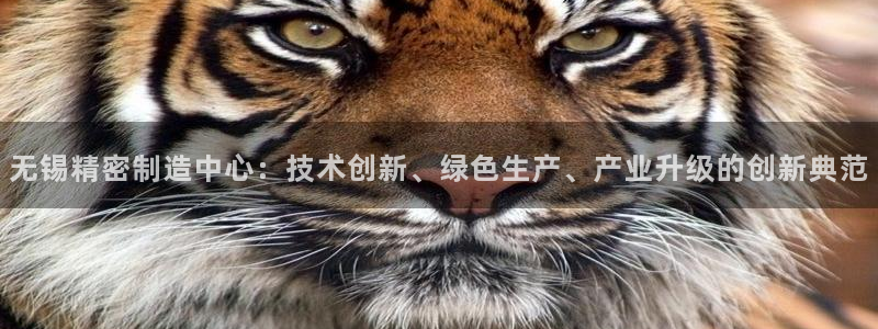 彩神是真的吗：无锡精密制造中心：技术创新、绿色生产、产业升级的创新典范
