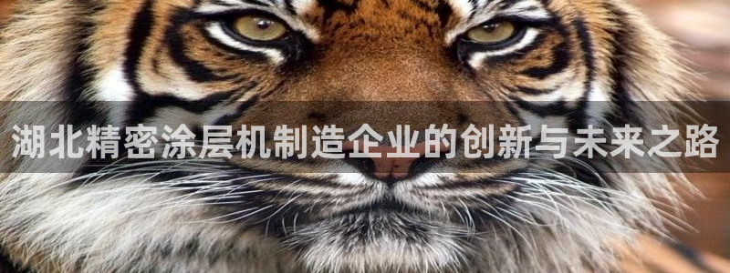 彩神争霸官方登录：湖