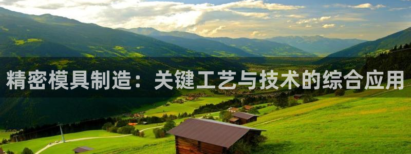 彩神怎么才能赢：精密模具制造：关键工艺与技术的综合应用