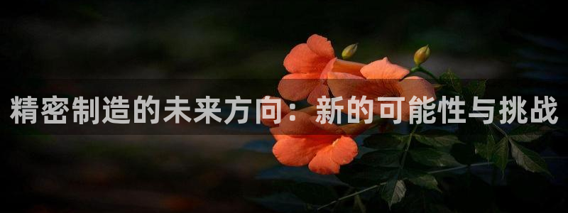 彩神v违法么：精密制造的未来方向：新的可能性与挑战