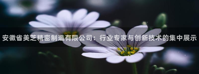 彩神v8是一个什么平台：安徽省美芝精密制造有限公司：行业专家与创新技术的集中展示