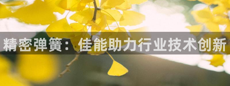 彩神v8平台正规吗：精密弹簧：佳能助力行业技术创新