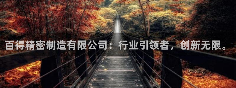 彩神 好 平台：百得精密制造有限公司：行业引领者，创新无限。