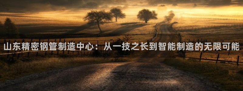 彩神V集团有限公司
