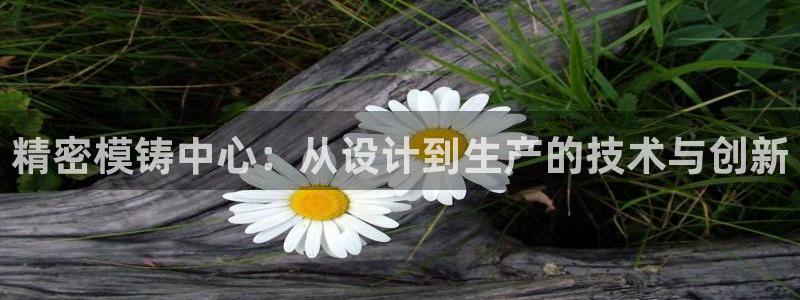 彩神v8平台正规吗可靠吗：精密模铸中心：从设计到生产的技术与创新