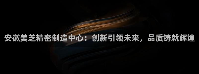 彩神网能赚钱是怎么回事：安徽美芝精密制造中心：创新引领未来，品质铸就辉煌