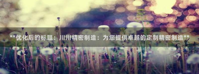 彩神VII购彩中心：**优化后的标题：川川精密制造：为您提供卓越的定制精密制造**