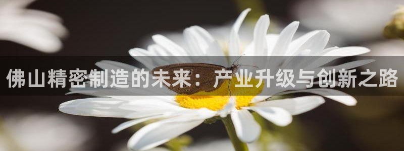 彩神购彩购彩大厅入口v：佛山精密制造的未来：产业升级与创新之路