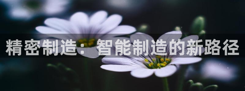 彩神8彩平台官网：精密制造：智能制造的新路径
