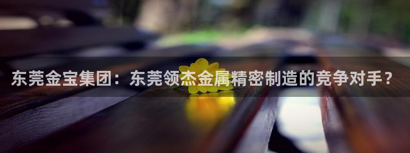 下载彩神v8：东莞金宝集团：东莞领杰金属精密制造的竞争对手？