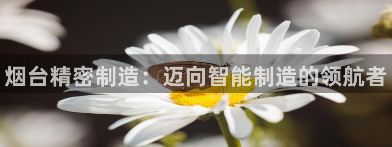 彩神系列平台：烟台精密制造：迈向智能制造的领航者