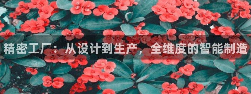 彩神平台可以破解吗：精密工厂：从设计到生产，全维度的智能制造