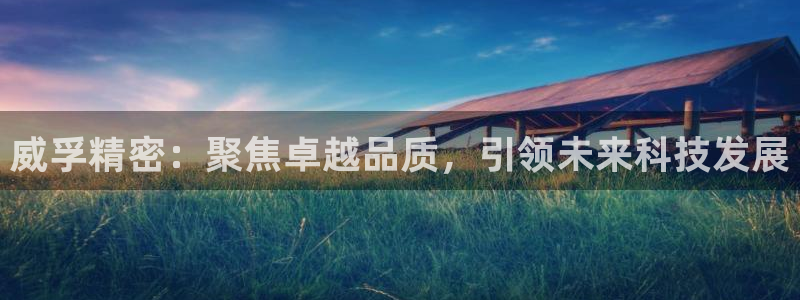 彩神购彩-购彩大厅入口娱乐首选：威孚精密：聚焦卓越品质，引领未来科技发展